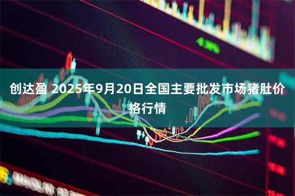 创达盈 2025年9月20日全国主要批发市场猪肚价格行情