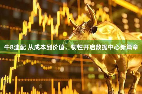 牛8速配 从成本到价值，韧性开启数据中心新篇章
