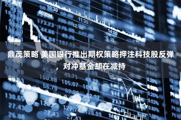 鼎茂策略 美国银行推出期权策略押注科技股反弹，对冲基金却在减持