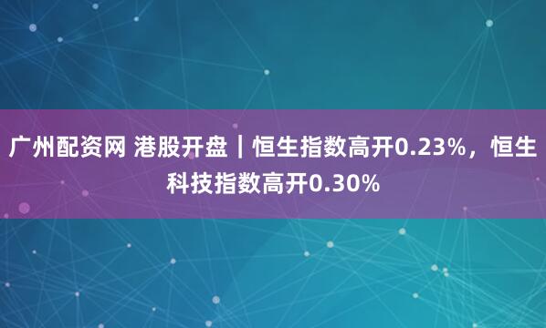 广州配资网 港股开盘｜恒生指数高开0.23%，恒生科技指数高开0.30%