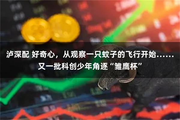 泸深配 好奇心，从观察一只蚊子的飞行开始……又一批科创少年角逐“雏鹰杯”
