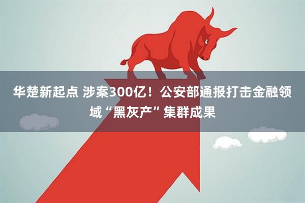 华楚新起点 涉案300亿！公安部通报打击金融领域“黑灰产”集群成果