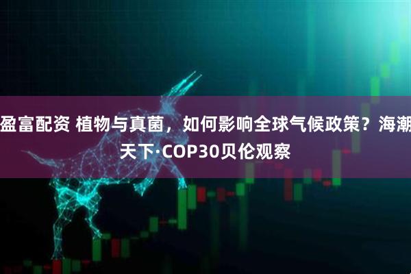 盈富配资 植物与真菌，如何影响全球气候政策？海潮天下·COP30贝伦观察