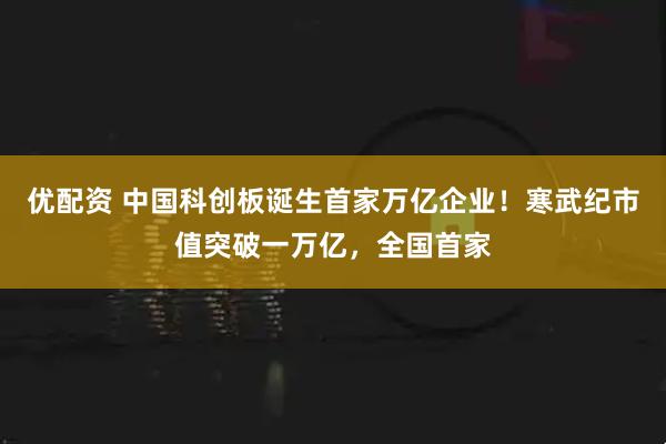 优配资 中国科创板诞生首家万亿企业！寒武纪市值突破一万亿，全国首家
